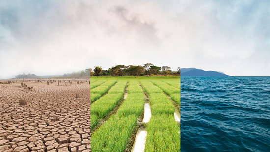 types of climate: cracked desert, green grass, clean water