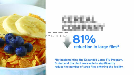 Large Fly Cereal Company Case Study Image