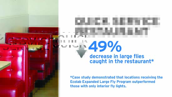 Large Fly QSR Case Study Image