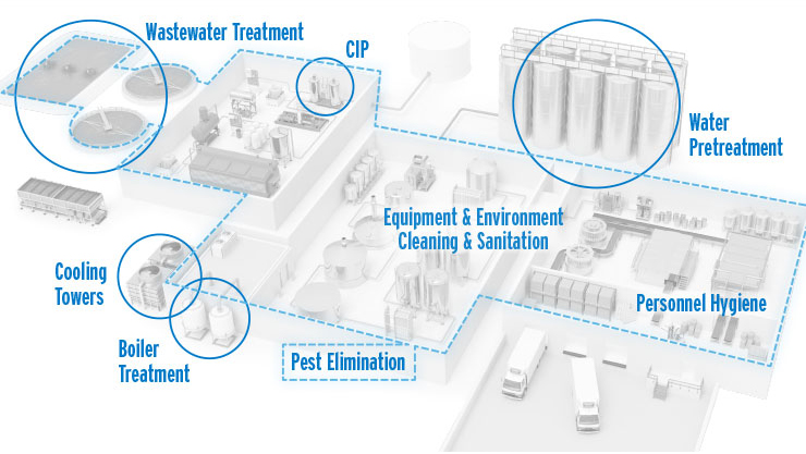 Schematic Map of a Clean and Sanitary Brewery or Winery