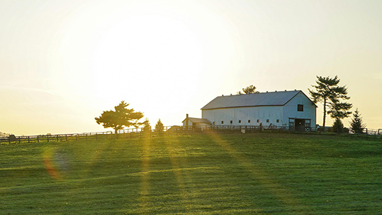 Commercial Farm