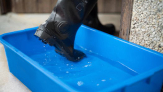 Personal Hygiene - Boots in a boot-bath