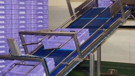 Trays being washed