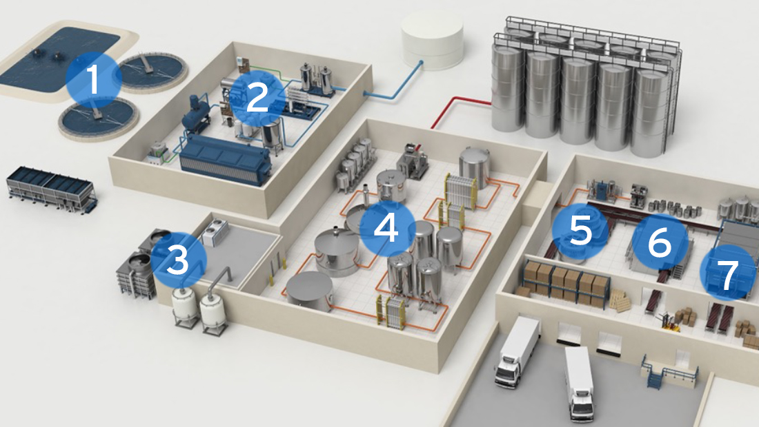 Schematic Map of a Clean and Sanitary Brewery or Winery