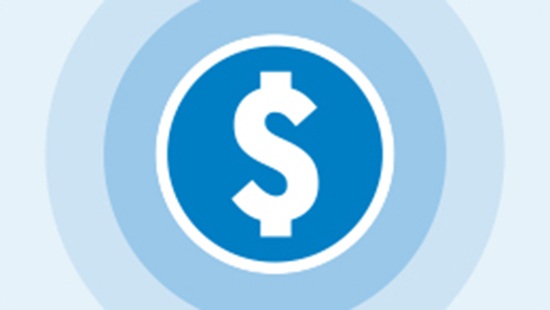 Cost of Use Icon