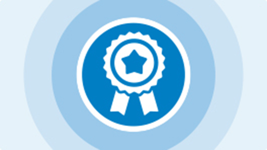 Product Quality Icon