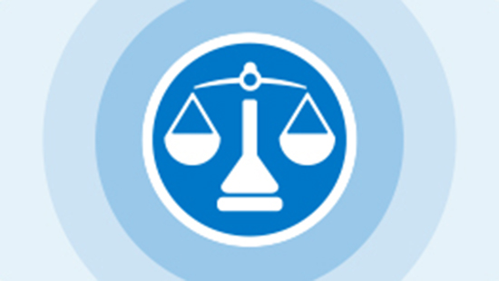 Regulatory Compliance icon