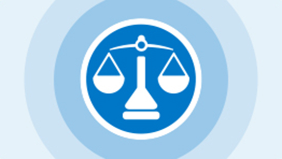 Regulatory Compliance icon