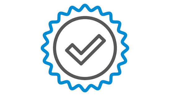 Check and Shield icon