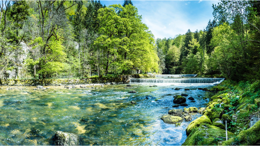 Natural landscape showing a river and trees