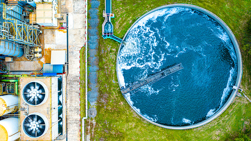 Water Plant