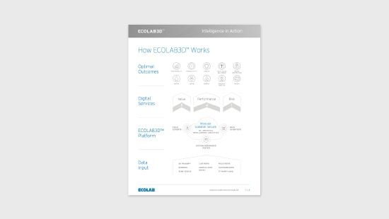 Infographic detailing how ECOLAB3D works.