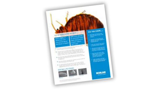 bed bug fact sheet