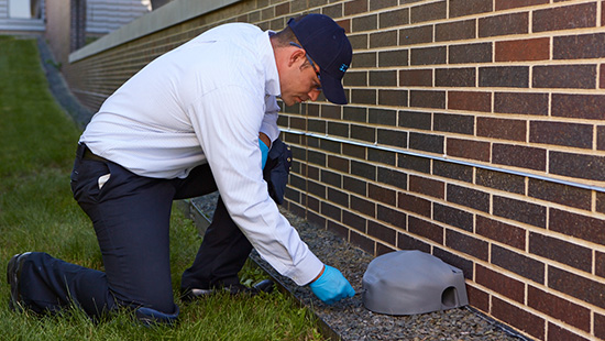 Service Specialist checking trap