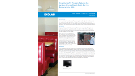 Large Fly QSR Case Study