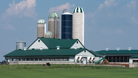 DairyFarm