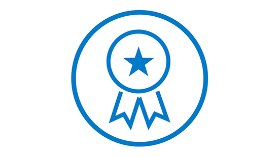 Quality Icon
