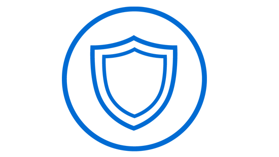asset protection icon