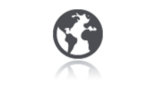 globe icon