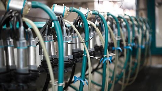 Close up of milking equipment