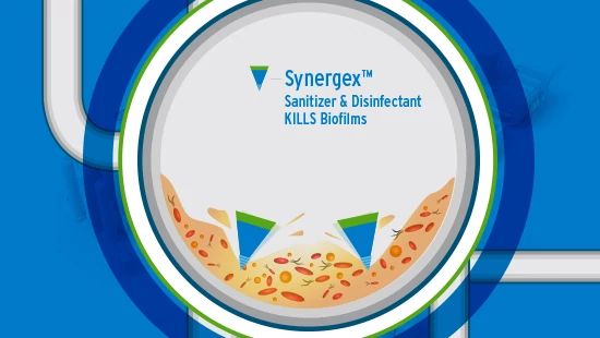 Illustration of Synergex's webpage update.