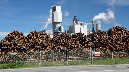 iStock_000001111800_Large_logs_outside_mill.jpg