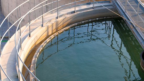 iStock_43409042_XLARGE_clarifiers.jpg