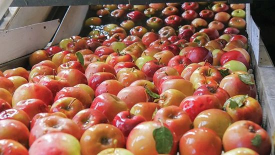 2019年企业可持续发展报告