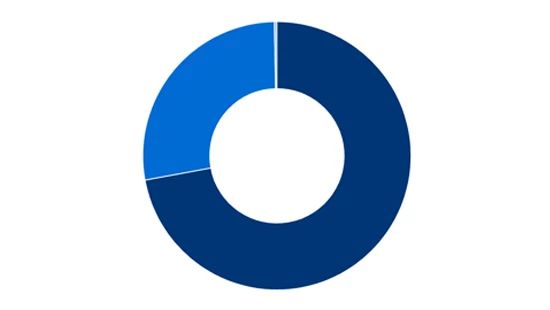 Chart showing 2023 Global Gender Diversity Global Management representation
