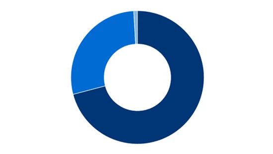 Chart showing 2023 Global Gender Diversity Total Global representation