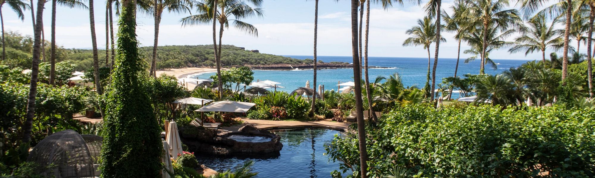 Tropical resort landscape with palm trees surrounding a pool, overlooking a sandy beach and blue ocean under a clear sky.